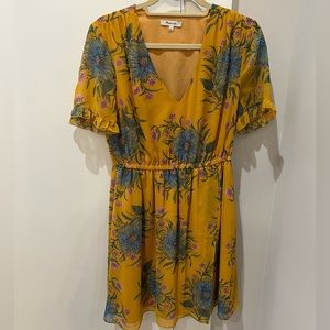 Madewell Sweetgrass Ruffle Sleeve Dress I’m Painted Blooms